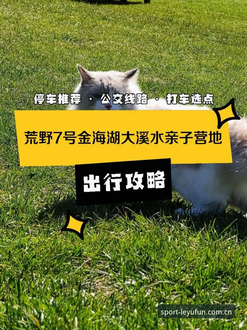 乐鱼登录通道对比 乐鱼登录通道对比实用指南:老用户教你选对入口省时间